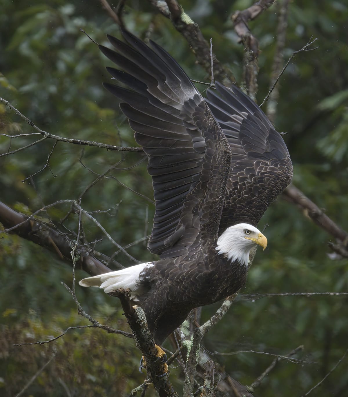 Behind The Lenz - Wildlife & Landscape Photography