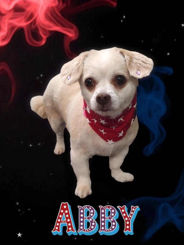 Pet of the Week
